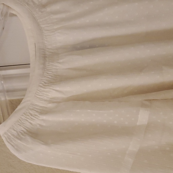 Loft LP Cream Blouse NWT - Picture 7 of 8
